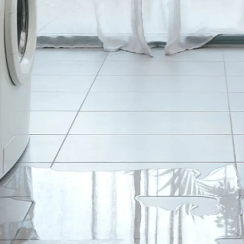Appliance Leak Cleanup in Flanagan, IL