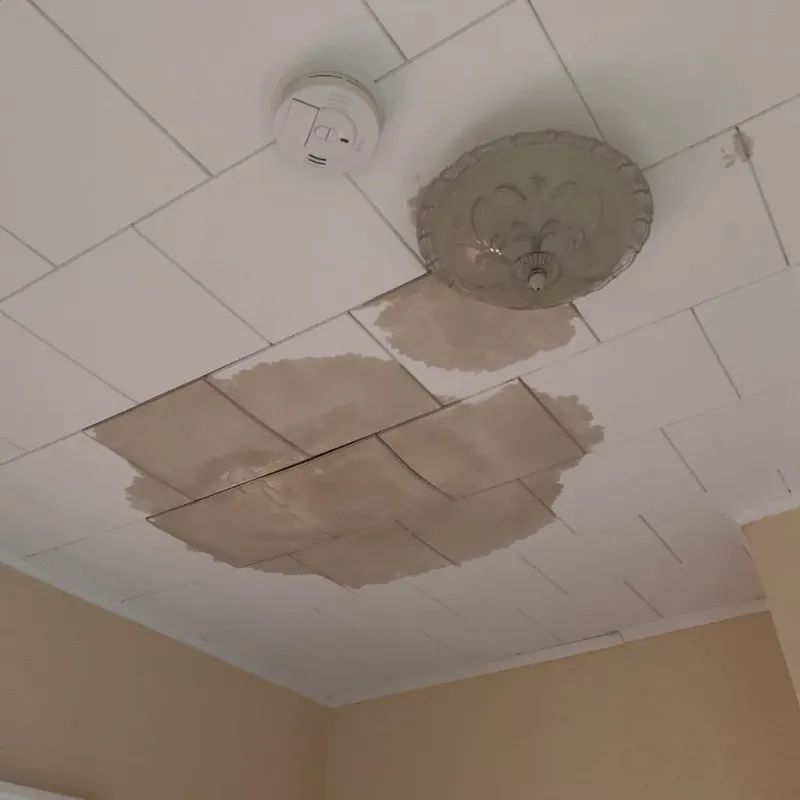 Ceiling Water Damage Repair in Flanagan, IL