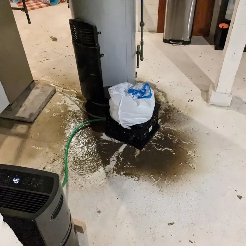 Sewage Backup Cleanup Service in Flanagan, IL